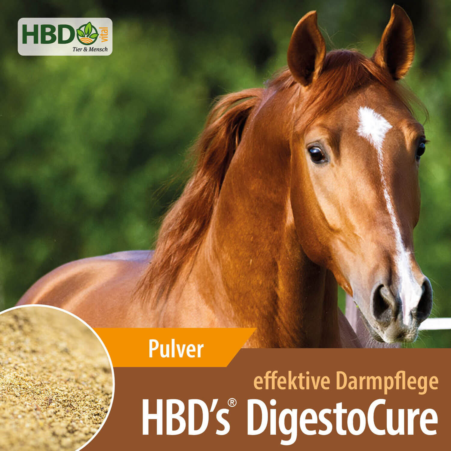 HBD-Agrar - HBD's® DigestoCure - Darmkur für Pferde - unterstützt und belebt die Darmflora