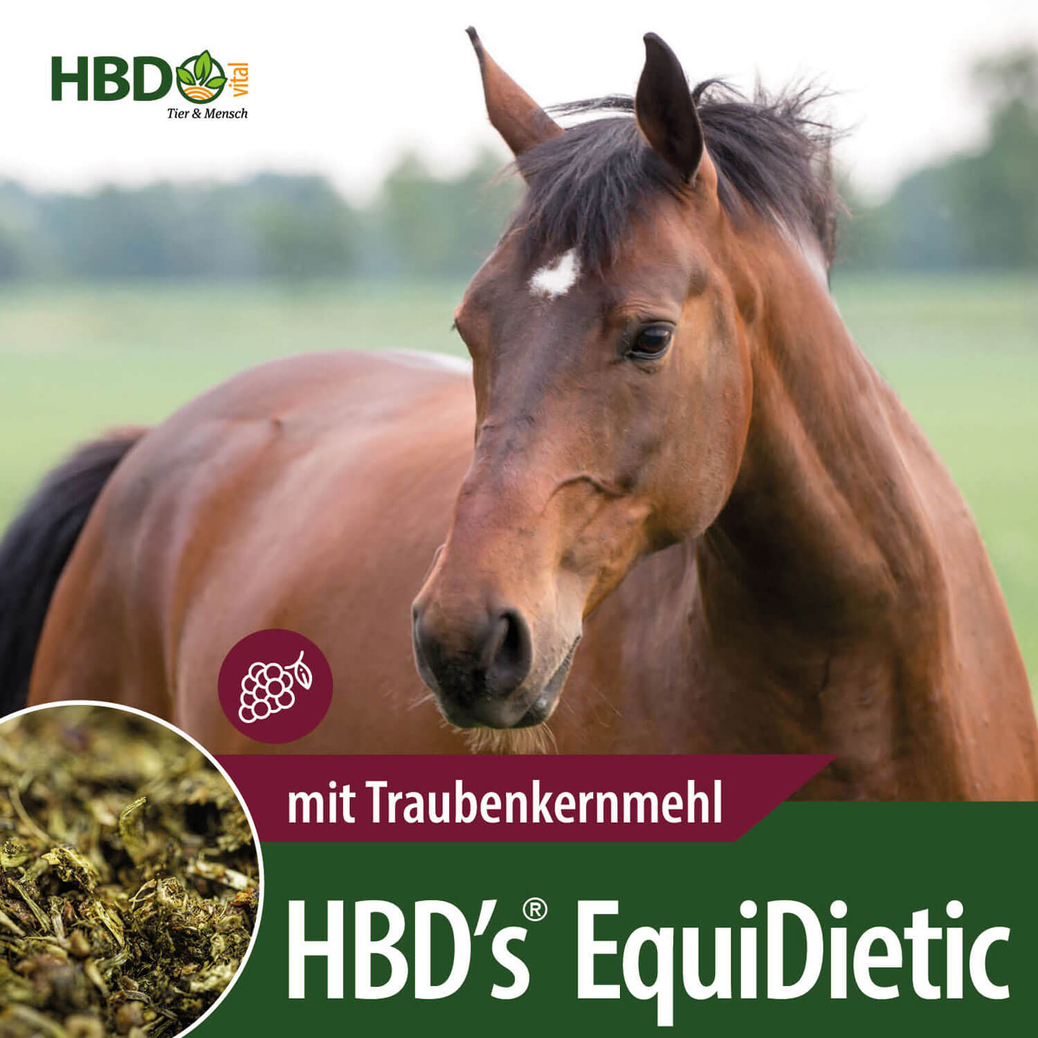 HBD-Agrar - HBD's® EquiDietic TKM - mit Traubenkernmehl HBD-Agrar - HBD's® EquiDietic TKM - mit Traubenkernmehl