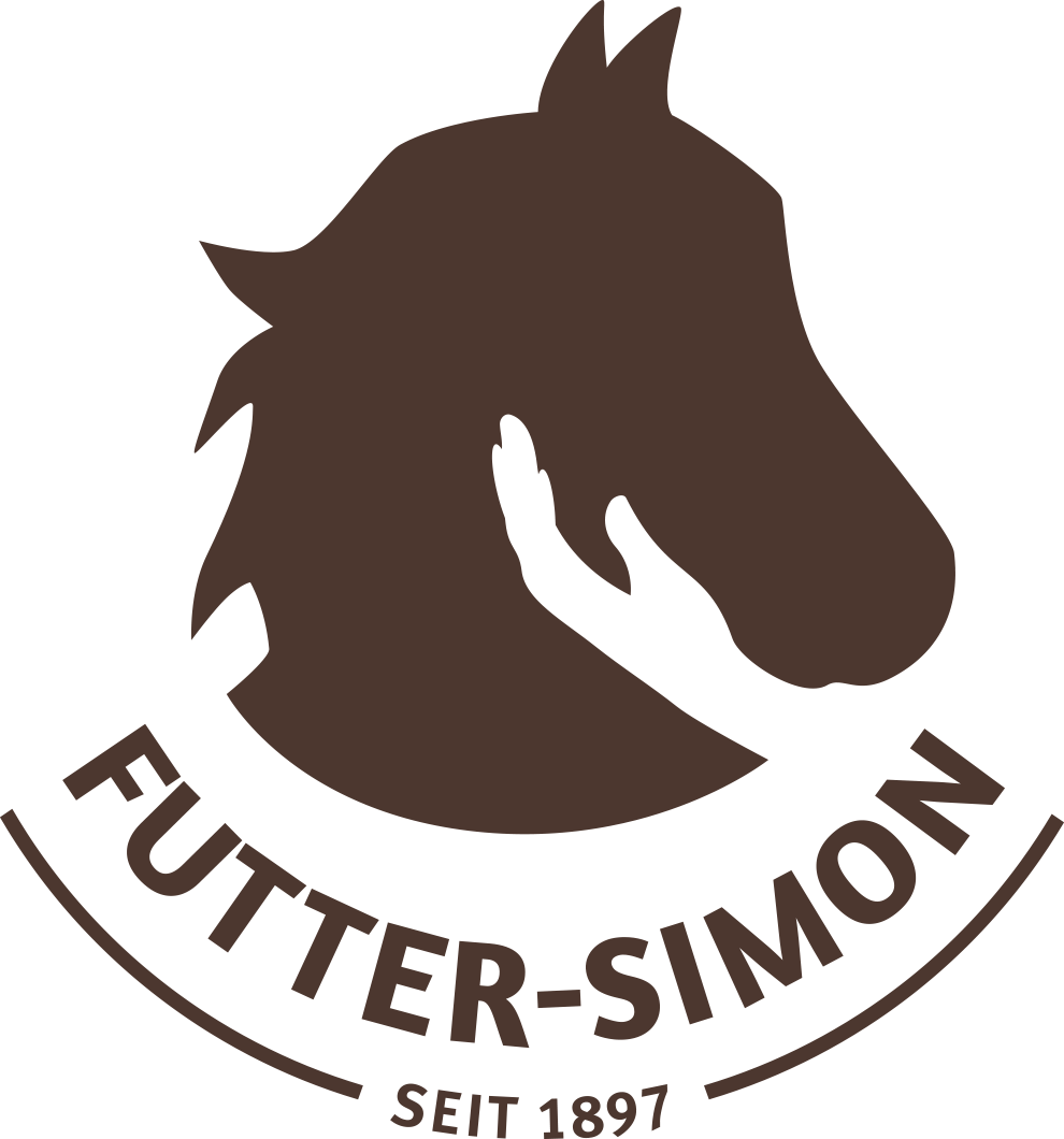 Simon Simon