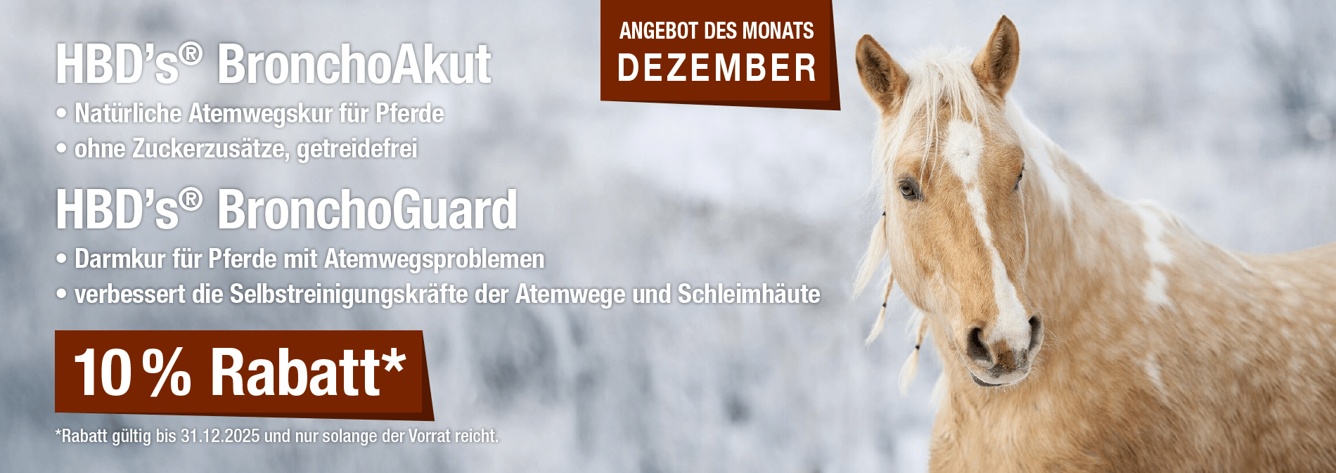 Monatsaktion Dezember 2025