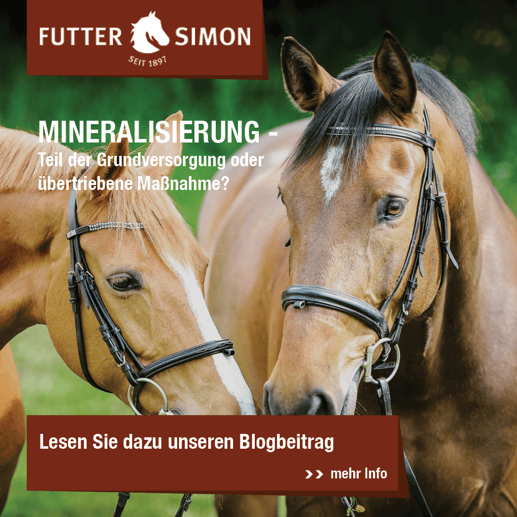 Blogbeitrag: Mineralisierung beim Pferd – Teil der Grundversorgung oder übertriebene Maßnahme?
