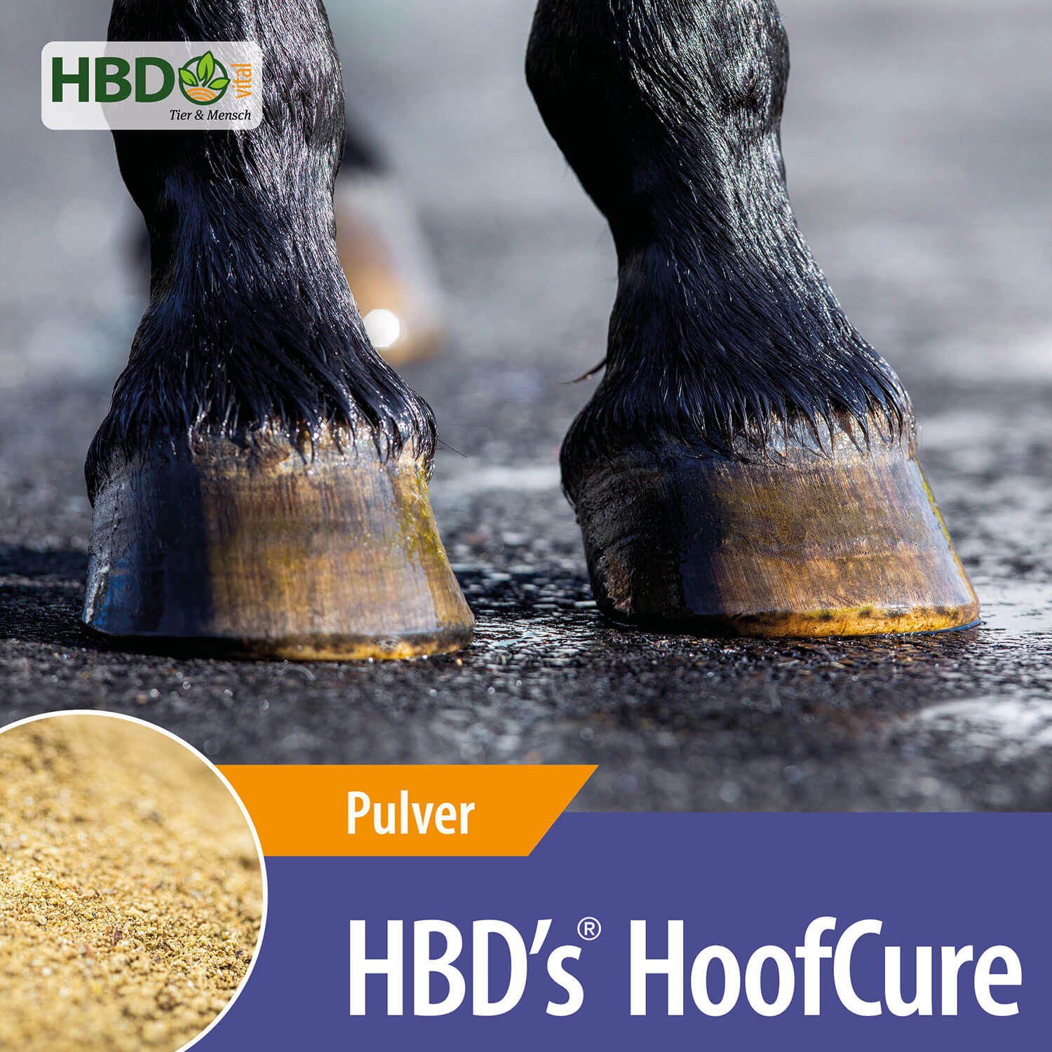 HBD-Agrar - HBD's® HoofCure - Die innovative Hufkur für Pferde HBD-Agrar - HBD's® HoofCure - Die innovative Hufkur für Pferde