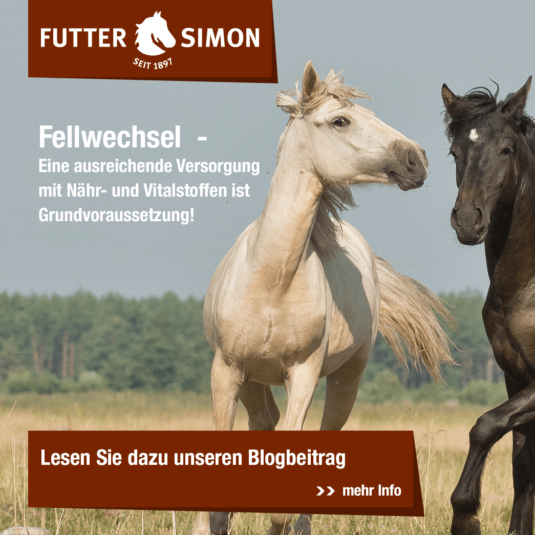 Blogbeitrag: Fellwechsel – Eine ausreichende Versorgung mit Nähr- und Vitalstoffen ist Grundvoraussetzung!