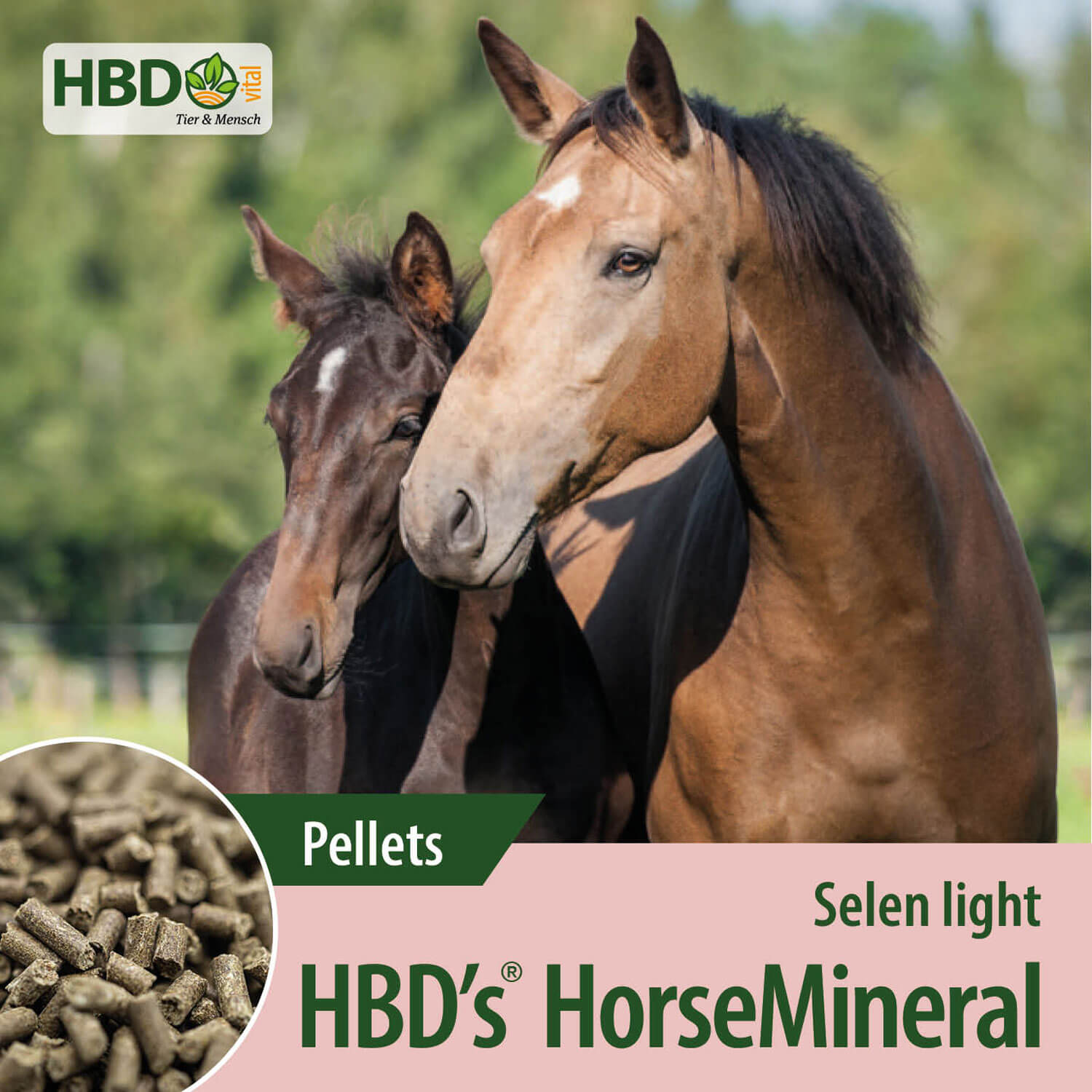 HBD-Agrar - HBD's® HorseMineral SELEN light - Mineralfutter mit reduziertem Selengehalt HBD-Agrar - HBD's® HorseMineral SELEN light - Mineralfutter mit reduziertem Selengehalt