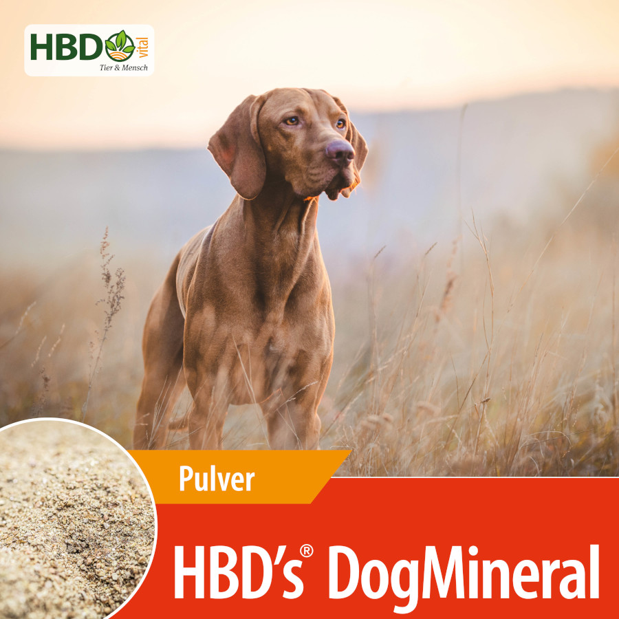 HBD-Agrar - HBD's® DogMineral - hochwertige Mineralstoffmischung für Hunde HBD-Agrar - HBD's® DogMineral - hochwertige Mineralstoffmischung für Hunde