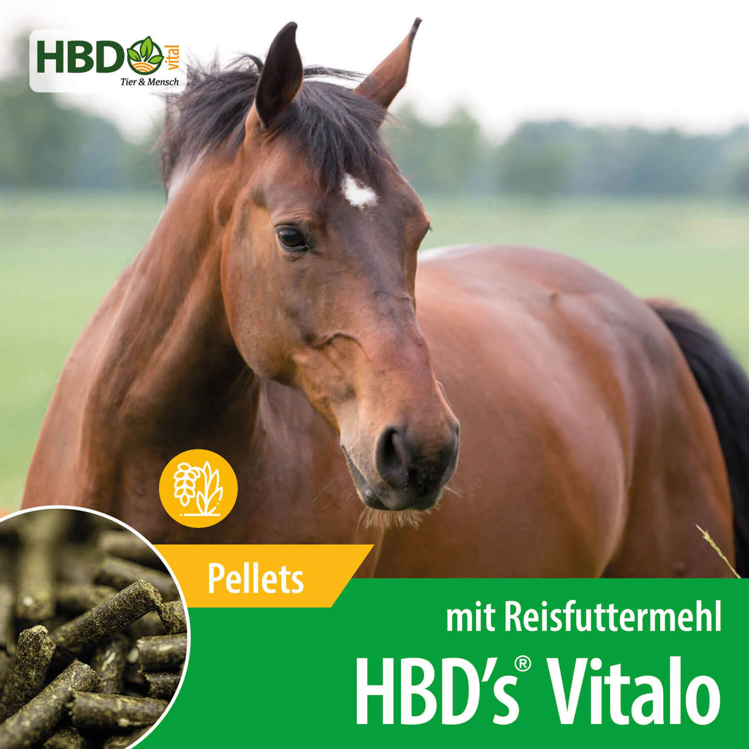 HBD-Agrar - HBD's® Vitalo - ergänzendes Kraftfutter ohne Getreide und synthetischen Substanzen HBD-Agrar - HBD's® Vitalo - ergänzendes Kraftfutter ohne Getreide und synthetischen Substanzen