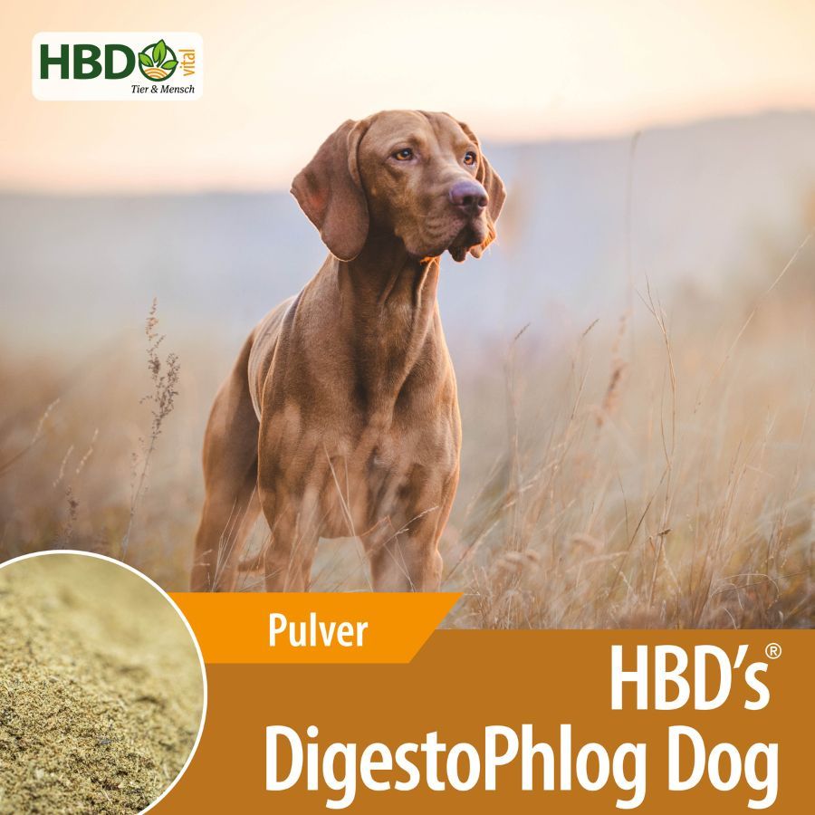 HBD-Agrar - HBD's® DigestoPhlog Dog - für den gereizten Magen-Darm-Trakt  HBD-Agrar - HBD's® DigestoPhlog Dog - für den gereizten Magen-Darm-Trakt