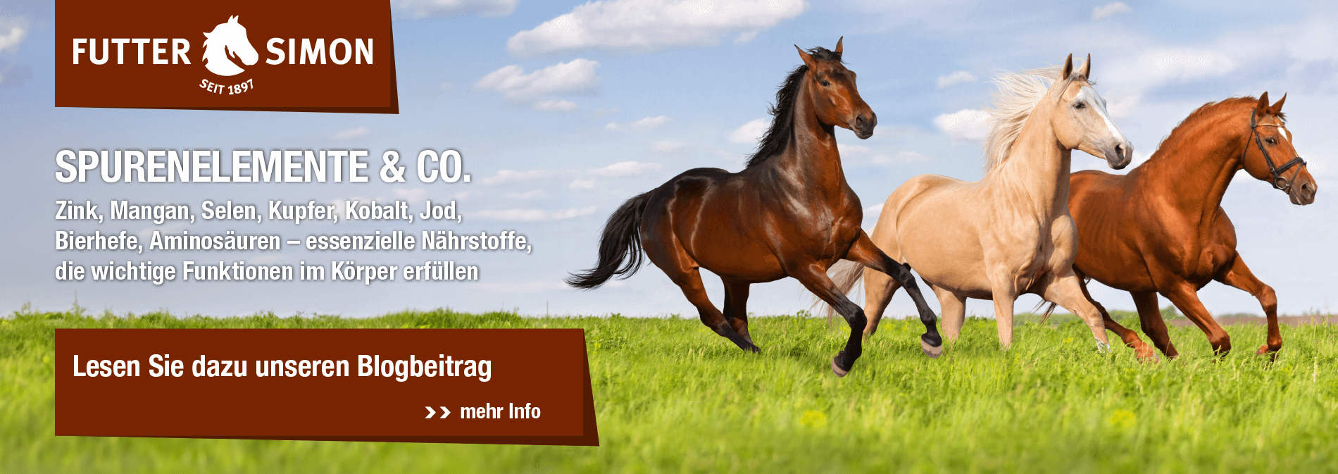 Blogbeitrag - Spurenelemente & Co.