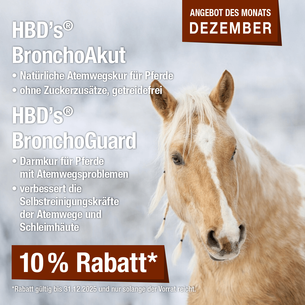 Monatsaktion Dezember 2025