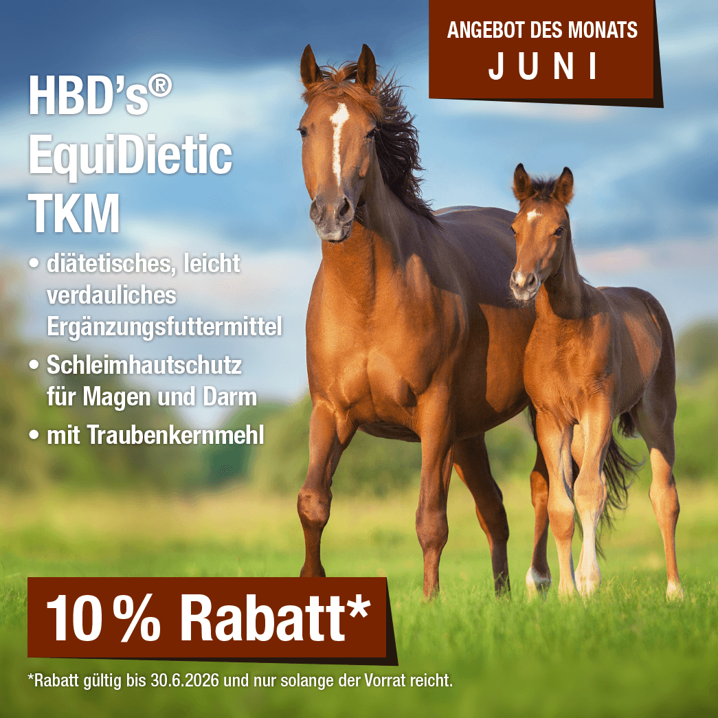 Monatsaktion Juni 2026