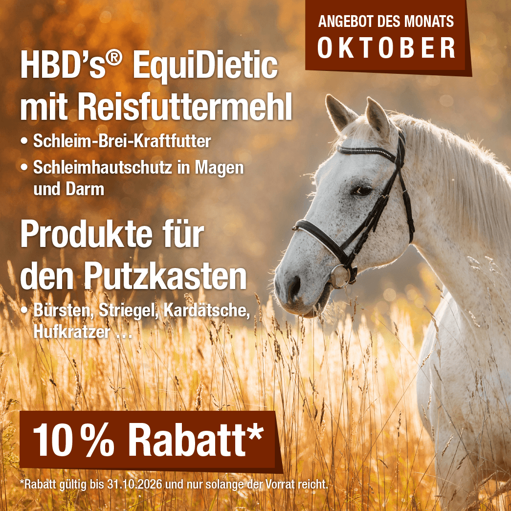 Monatsaktion Oktober 2026