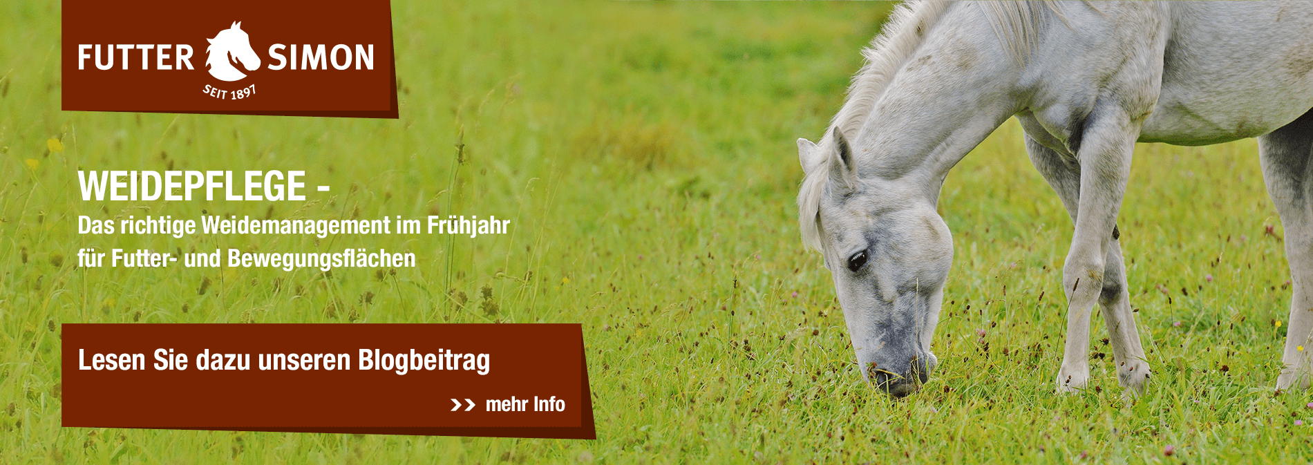 Blogbeitrag: Weidepflege im Frühjahr