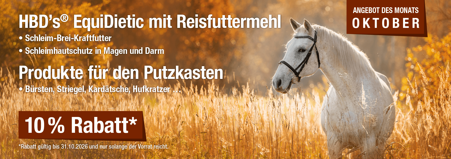 Monatsaktion Oktober 2026