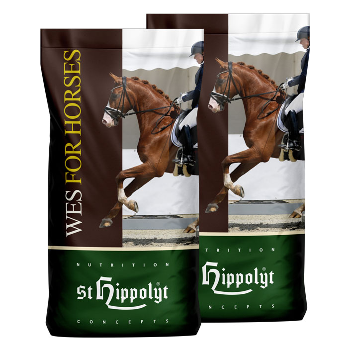 WES FOR HORSES - All in One - Mineralisiertes Müsli für Sport- und Freizeitpferde