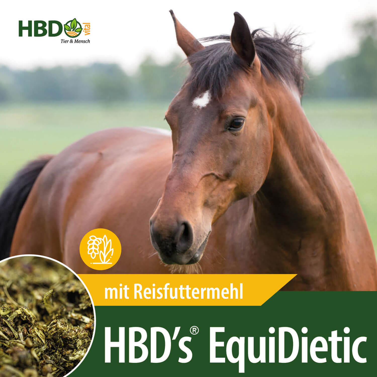 HBD-Agrar - HBD's® EquiDietic - mit Reisfuttermehl