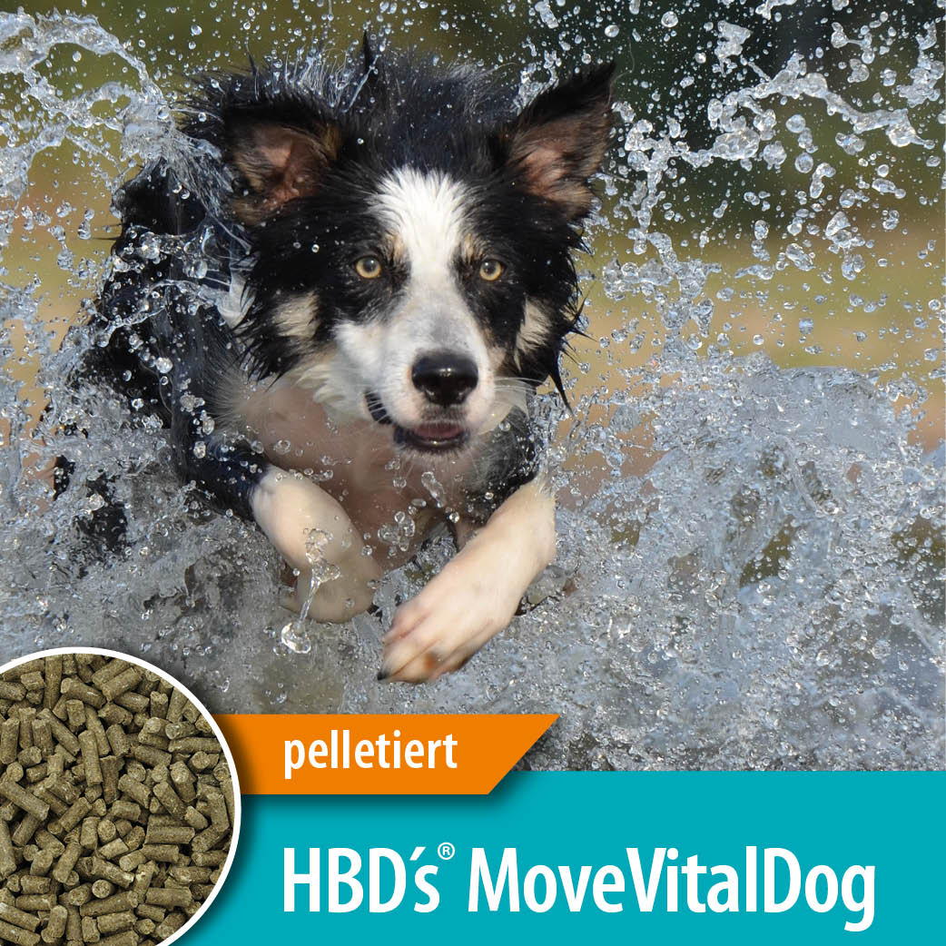 HBD-Agrar - HBD`s® MoveVital Dog - Ergänzungsfuttermittel für Hunde