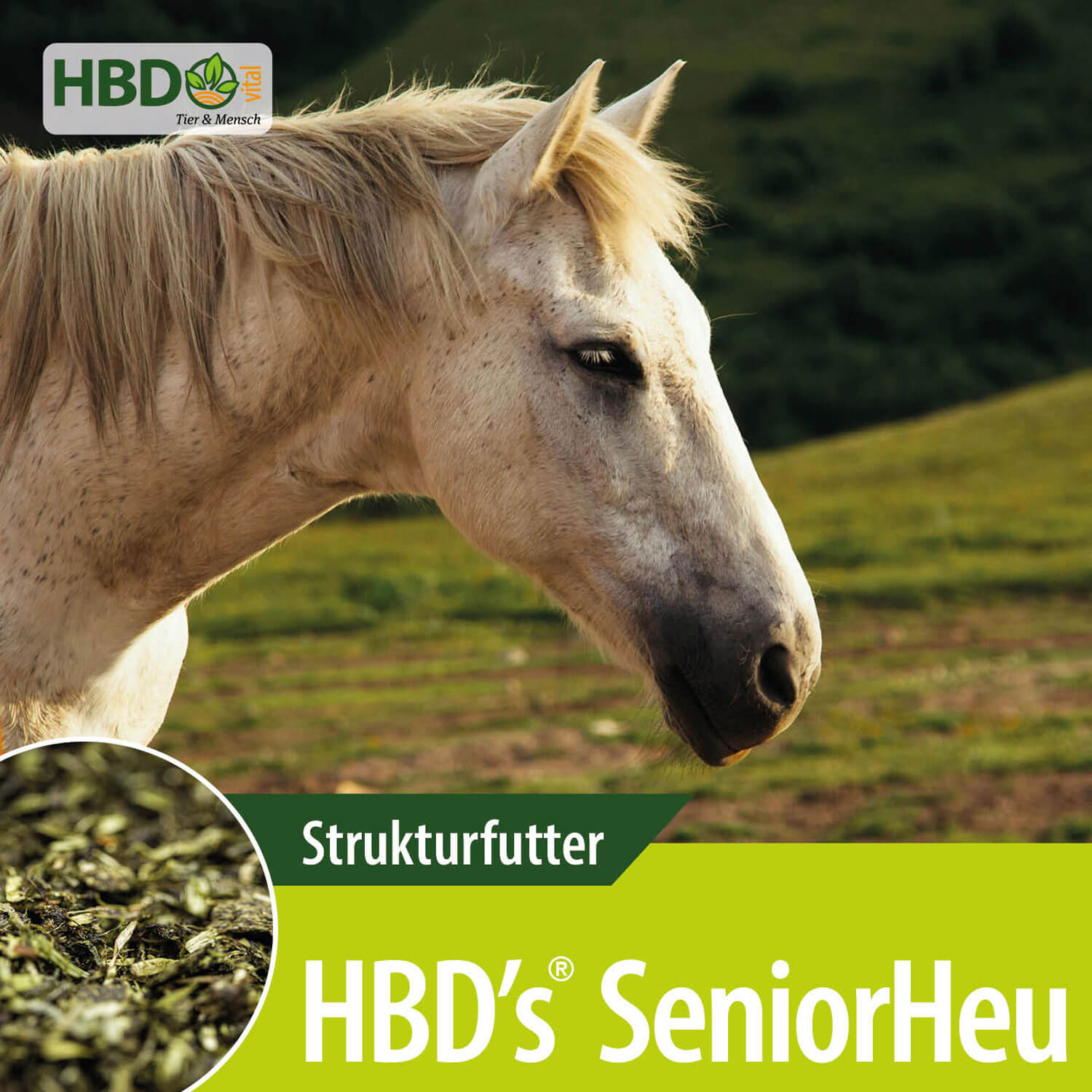 HBD-Agrar - HBD`s® Seniorheu - Ideale Raufutterergänzung mit intensivierender Kautätigkeit