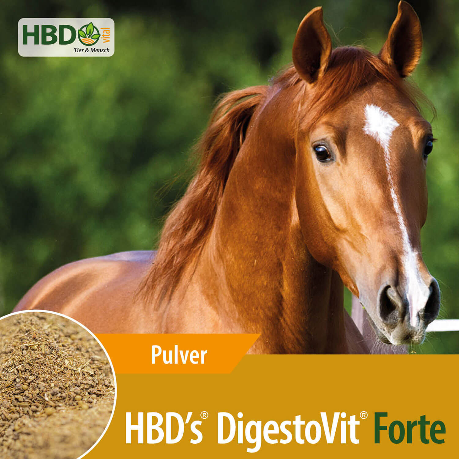 HBD-Agrar - HBD's® DigestoVit® Forte - Neuartiges Nutrazeutikum für den Darm des Pferdes HBD-Agrar - HBD's® DigestoVit® Forte - Neuartiges Nutrazeutikum für den Darm des Pferdes