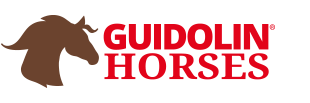 Guidolin Guidolin