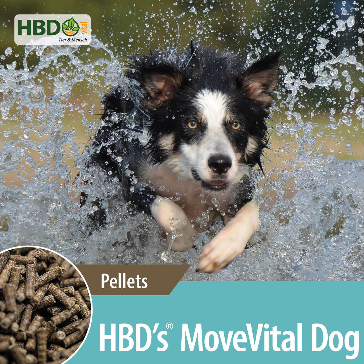 HBD-Agrar - HBD's® MoveVital Dog - Ergänzungsfuttermittel für Hunde HBD-Agrar - HBD's® MoveVital Dog - Ergänzungsfuttermittel für Hunde
