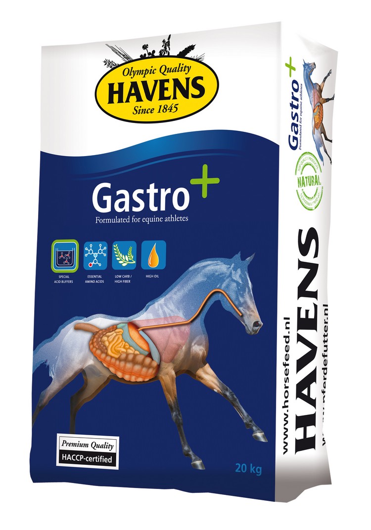Havens Gastro+ - Verdauungsförderndes Kraftfutter für Pferde