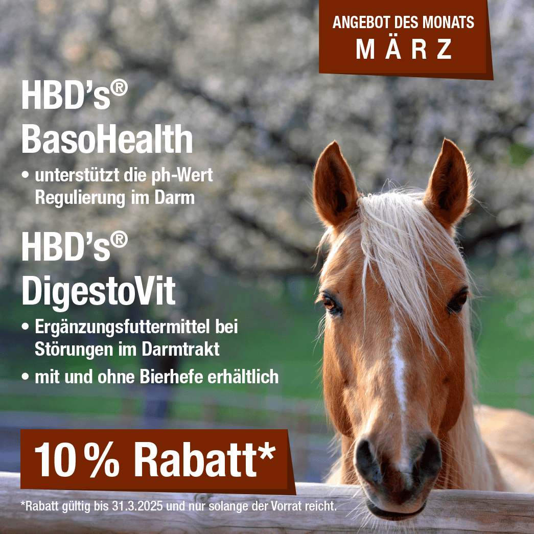 Monatsaktion März 2025