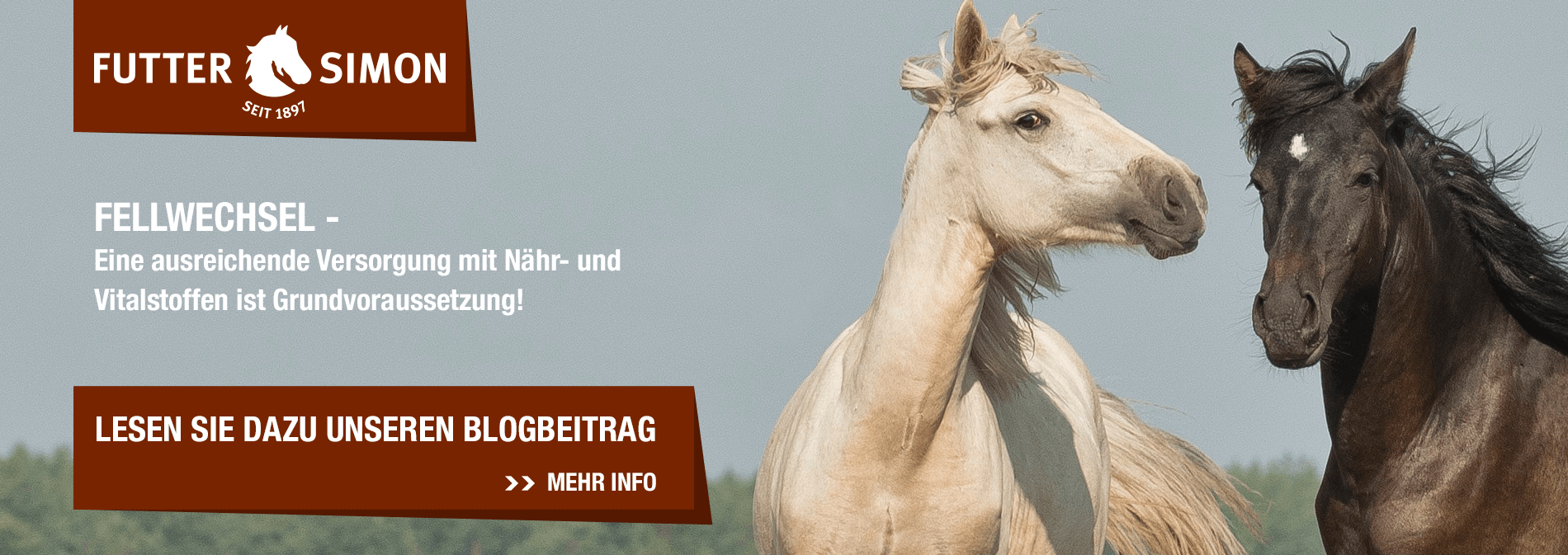 Blogbeitrag: Fellwechsel – Eine ausreichende Versorgung mit Nähr- und Vitalstoffen ist Grundvoraussetzung!