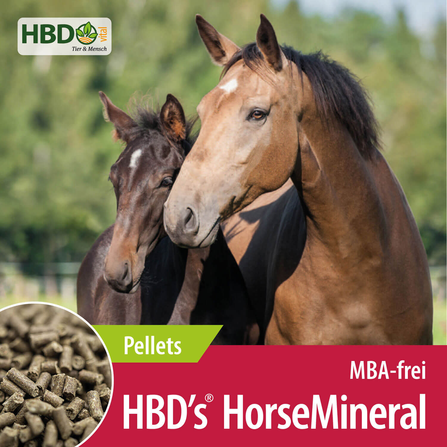 HBD-Agrar - HBD's® HorseMineral MELASSEFREI – ohne Bierhefe, ohne Apfeltrester – pelletiert