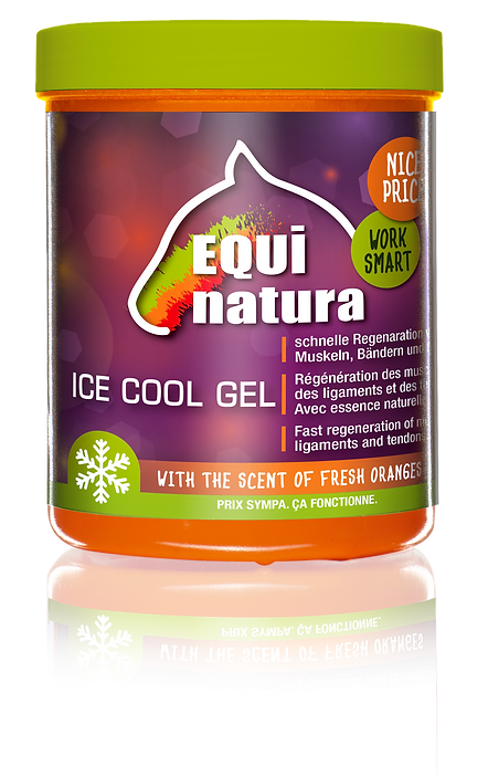 Equinatura - Ice Cool Gel - zur Regeneration von Muskeln, Bändern und Sehnen Equinatura - Ice Cool Gel - zur Regeneration von Muskeln, Bändern und Sehnen