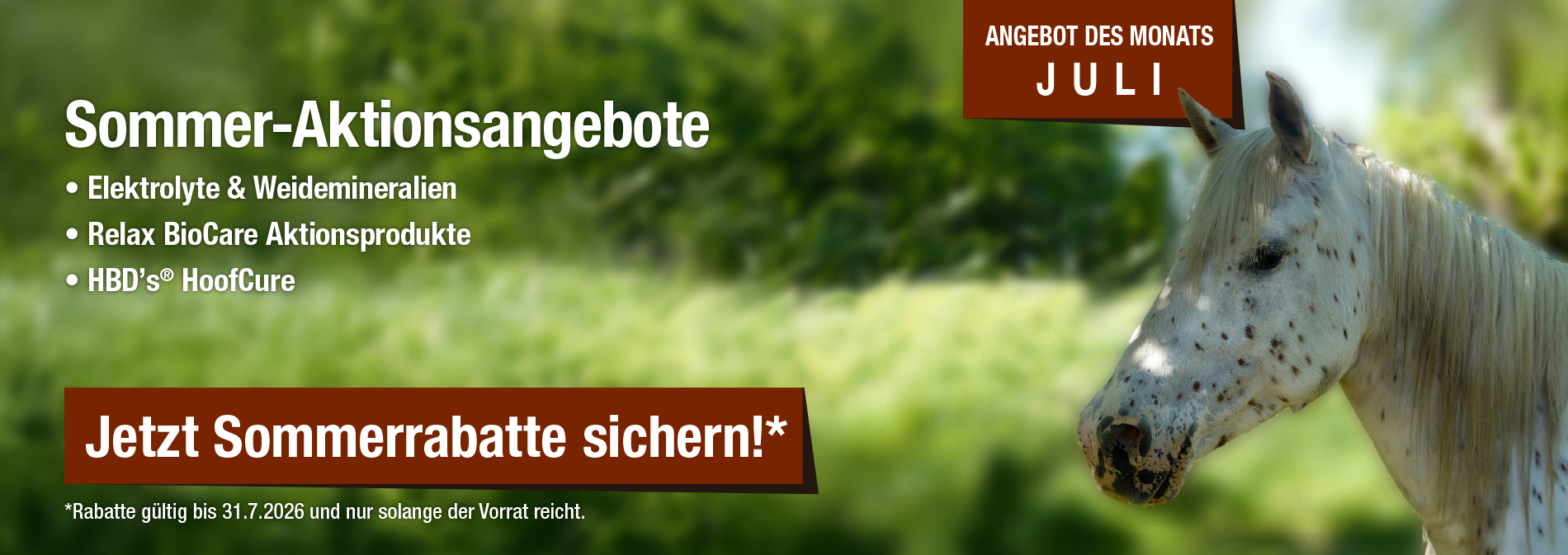 Monatsaktion Juli 2026