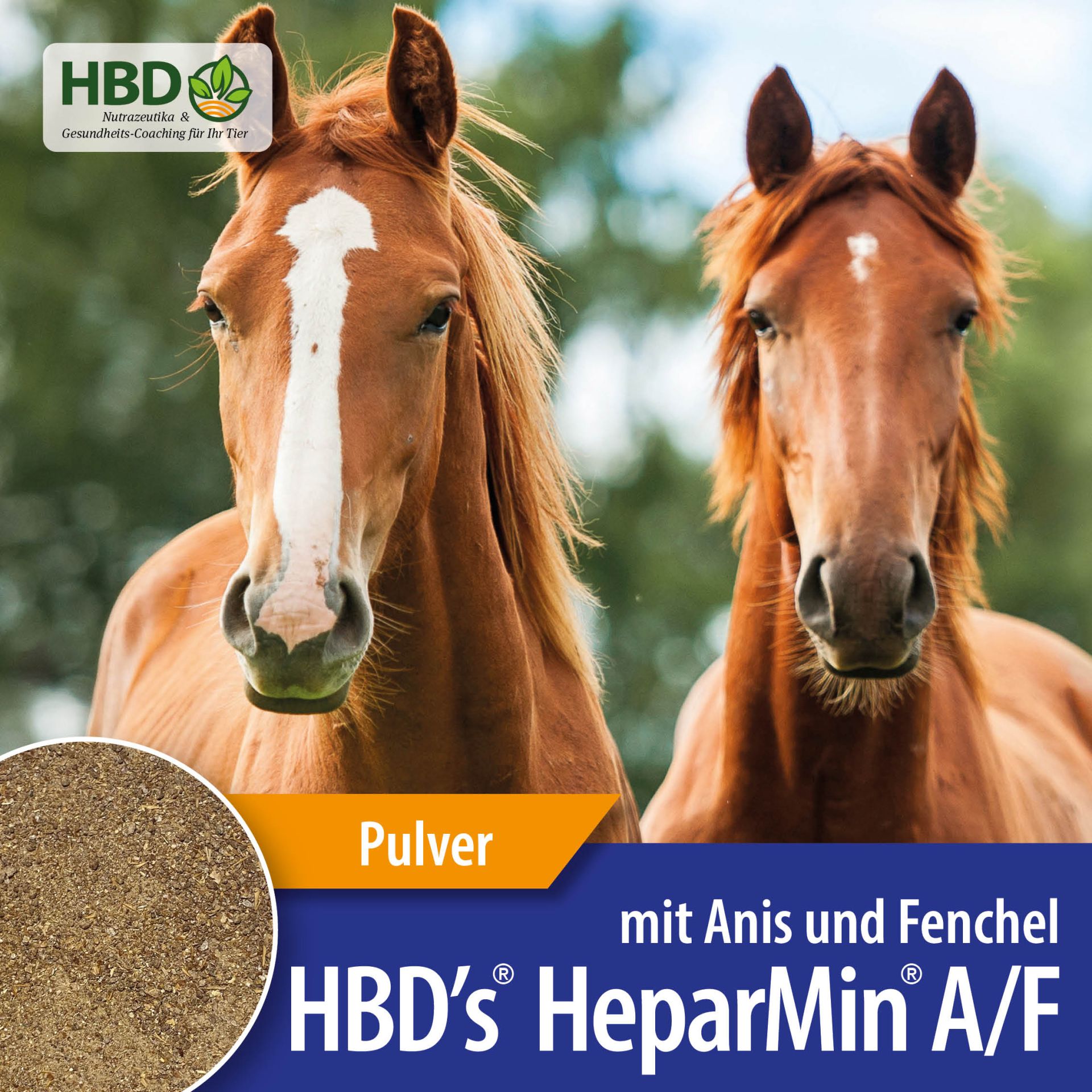 HBD-Agrar - HBD's® HeparMin® A/F- Ergänzungsfuttermittel zum Muskelaufbau und zur Entgiftung