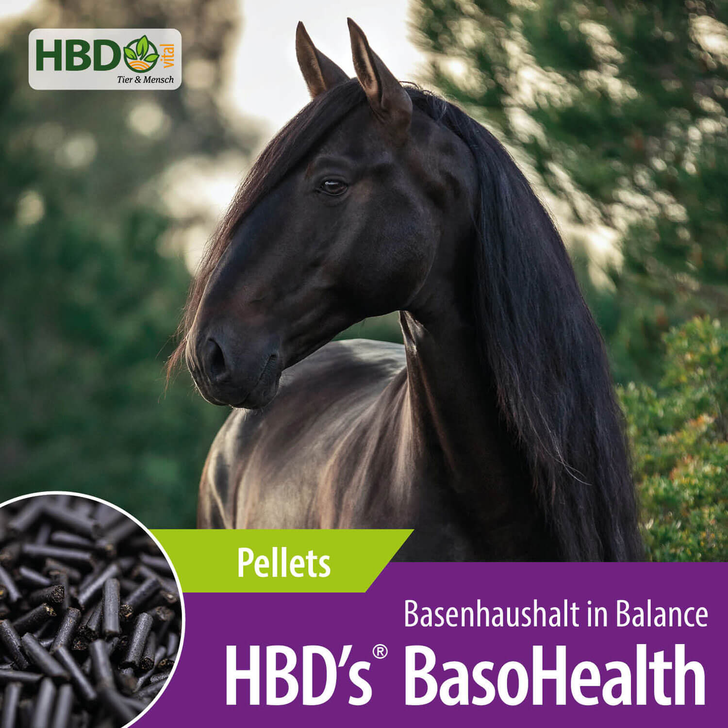 HBD-Agrar - HBD's® BasoHealth - unterstützt die ph-Wert Regulierung im Darm HBD-Agrar - HBD's® BasoHealth - unterstützt die ph-Wert Regulierung im Darm