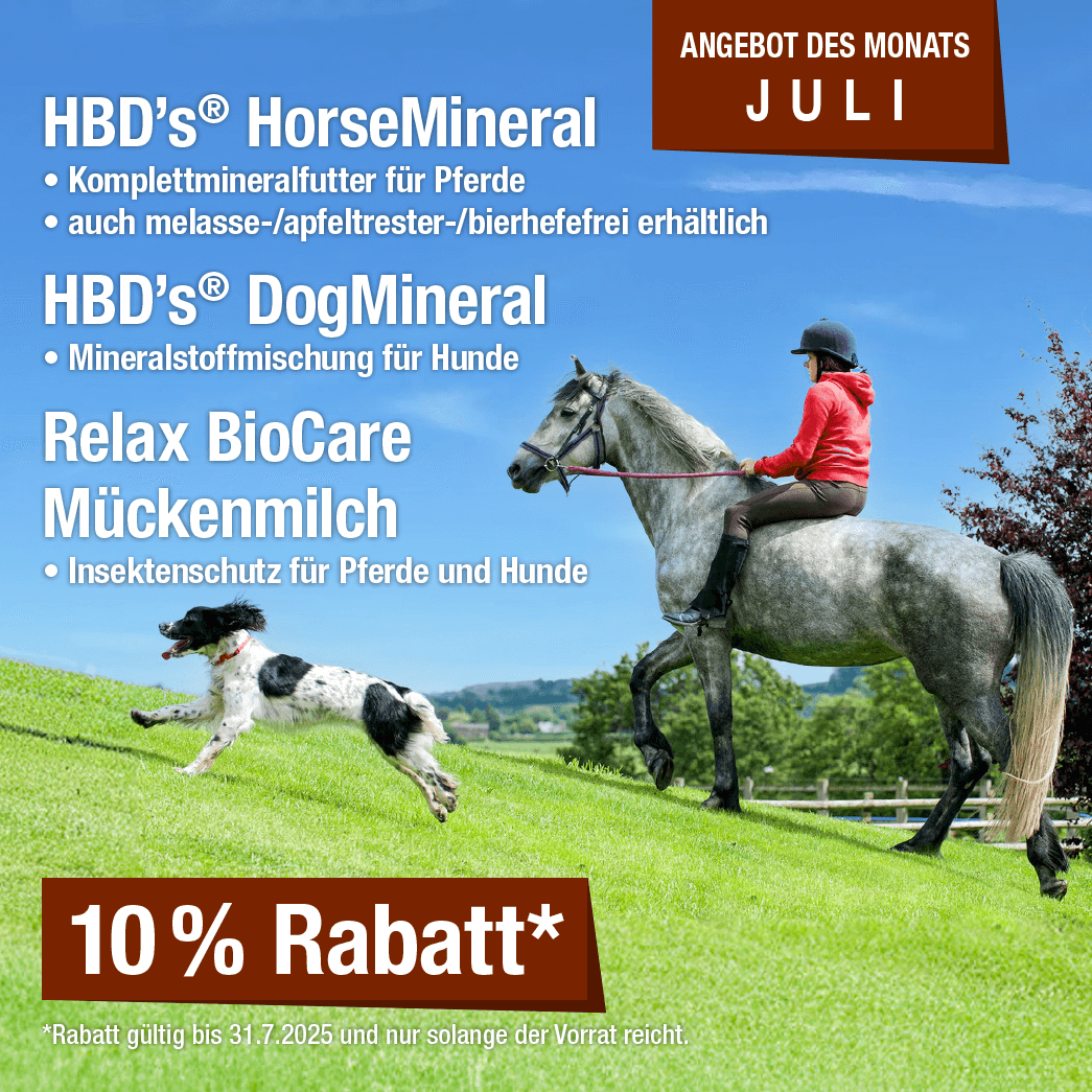 Monatsaktion Juni 2025