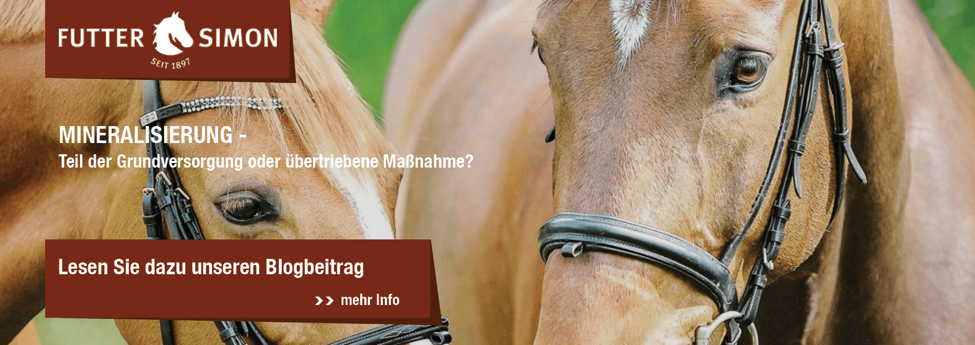 Blogbeitrag: Mineralisierung beim Pferd – Teil der Grundversorgung oder übertriebene Maßnahme?