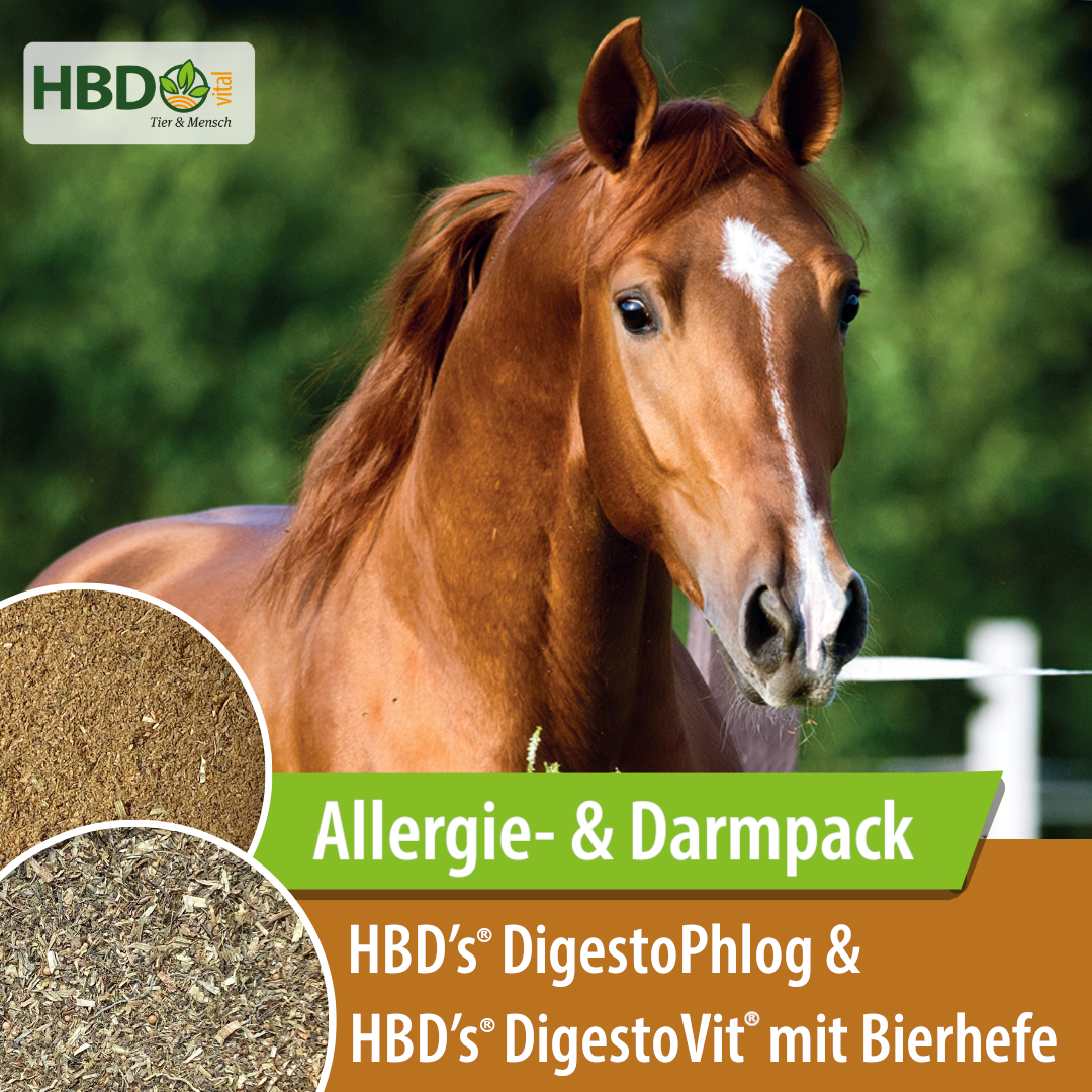 HBD-Agrar - Allergie & Darm-Fit Paket #1 - HBD's® DigestoVit® + HBD's® DigestoPhlog HBD-Agrar - Allergie & Darm-Fit Paket #1 - HBD's® DigestoVit® + HBD's® DigestoPhlog