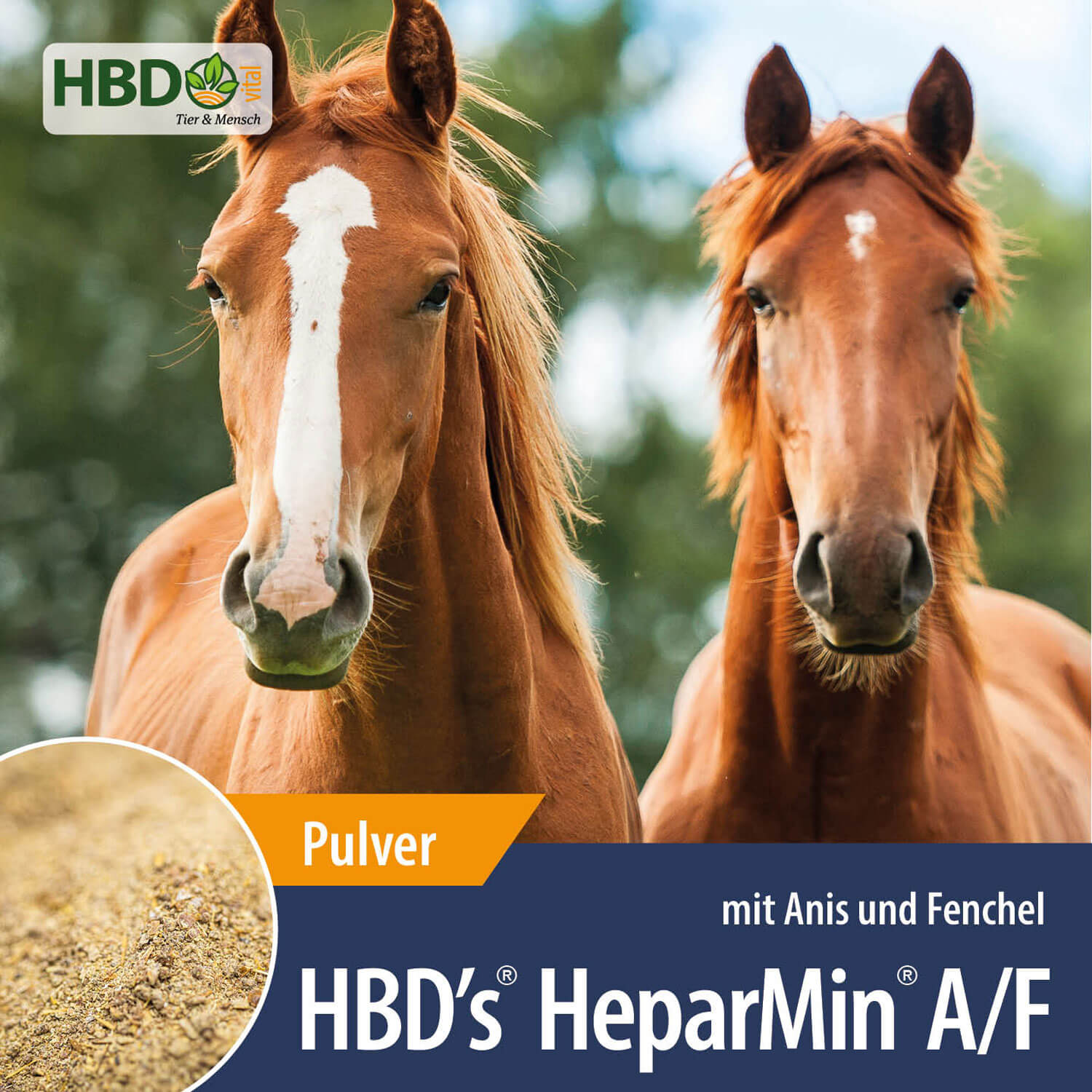 HBD-Agrar - HBD's® HeparMin® A/F- Ergänzungsfuttermittel zum Muskelaufbau und zur Entgiftung HBD-Agrar - HBD's® HeparMin® A/F- Ergänzungsfuttermittel zum Muskelaufbau und zur Entgiftung