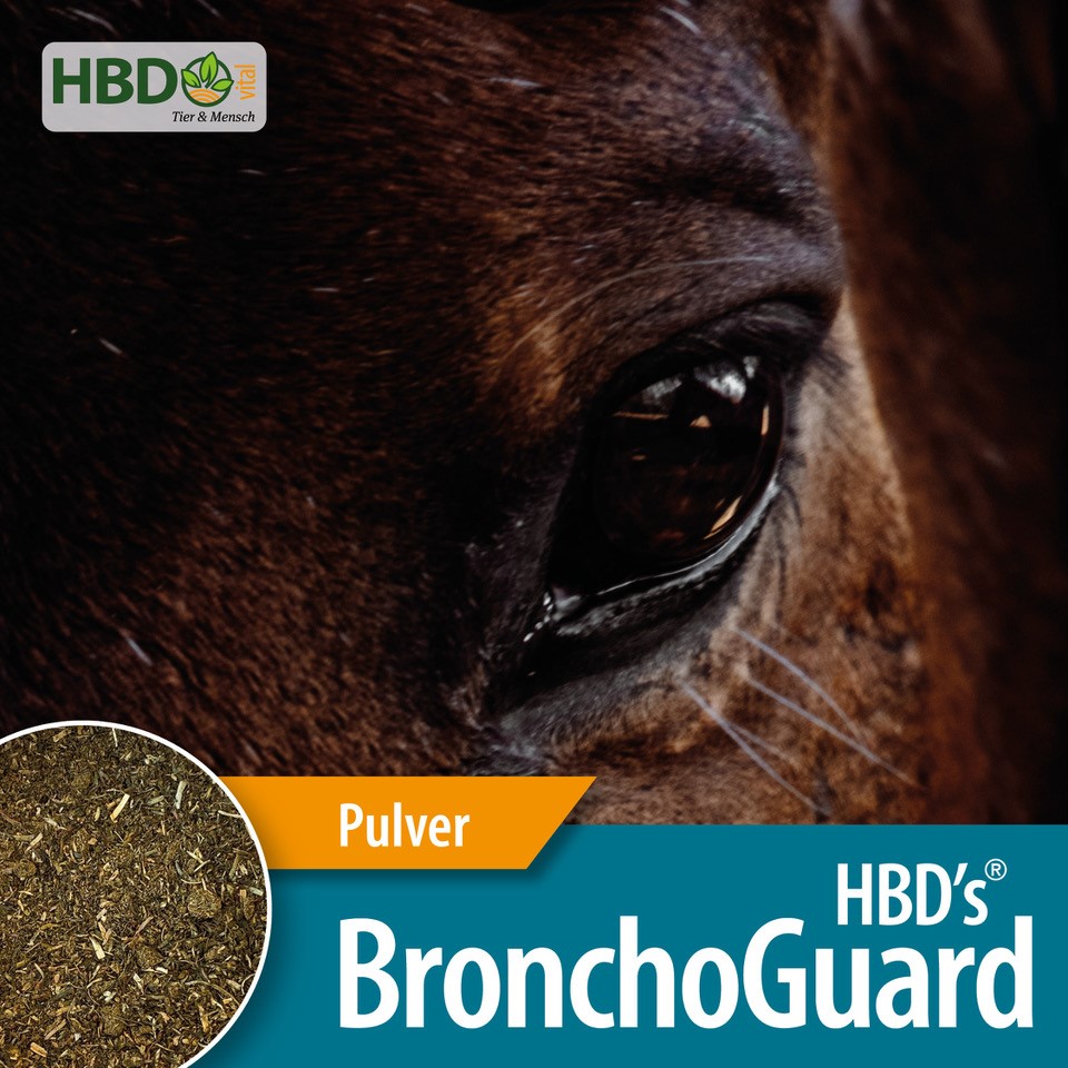 HBD-Agrar - HBD's® BronchoGuard - Darmkur zur Unterstützung des Immunsystems bei Pferden