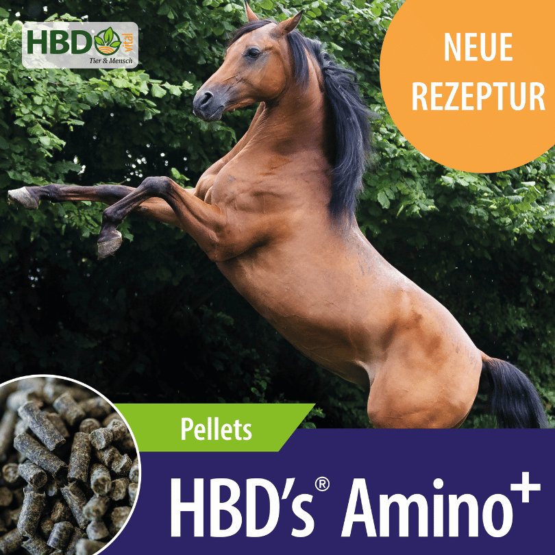 HBD-Agrar - HBD’s® Amino+ - Hochwertige Aminosäuren für Muskelaufbau und Stoffwechsel