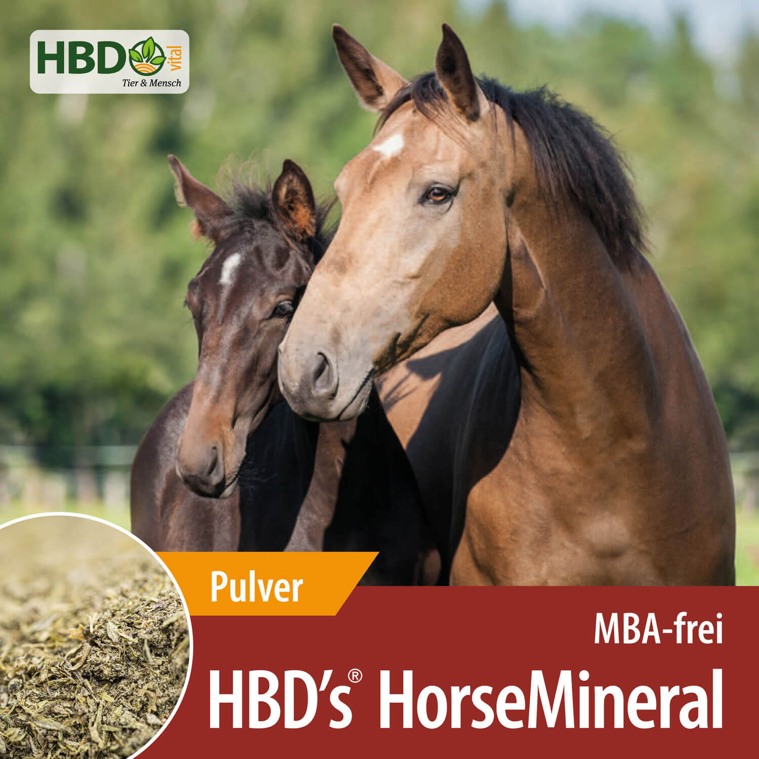 HBD-Agrar - HBD's® HorseMineral MELASSEFREI – ohne Apfeltrester, ohne Bierhefe – Pulverform HBD-Agrar - HBD's® HorseMineral MELASSEFREI – ohne Apfeltrester, ohne Bierhefe – Pulverform
