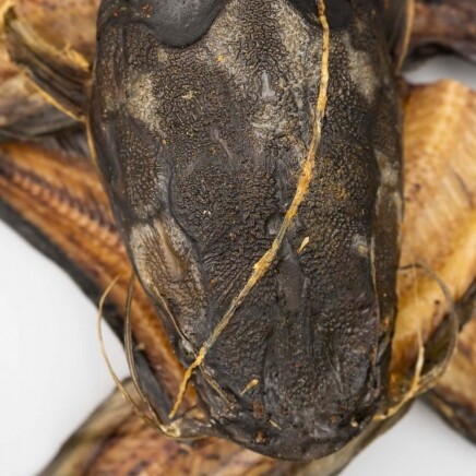 BONT - Welskopf - natürlicher Fisch-Snack für Hunde