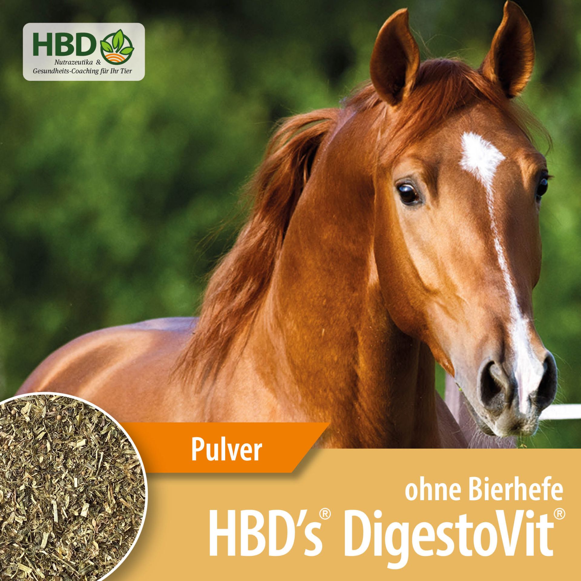 HBD-Agrar - Allergie & Darm-Fit Paket #2 - HBD's® DigestoVit® ohne Bierhefe + HBD's® DigestoPhlog