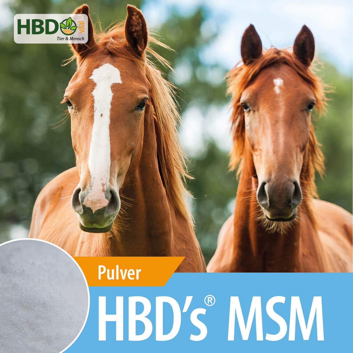 HBD-Agrar - HBD's® MSM - biologischer Alleskönner im Bereich Entzündungshemmung HBD-Agrar - HBD's® MSM - biologischer Alleskönner im Bereich Entzündungshemmung