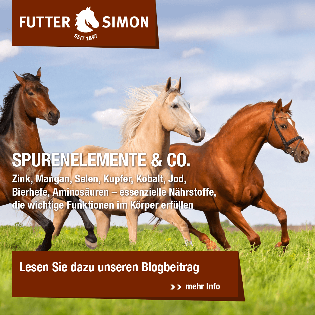 Blogbeitrag - Spurenelemente & Co.