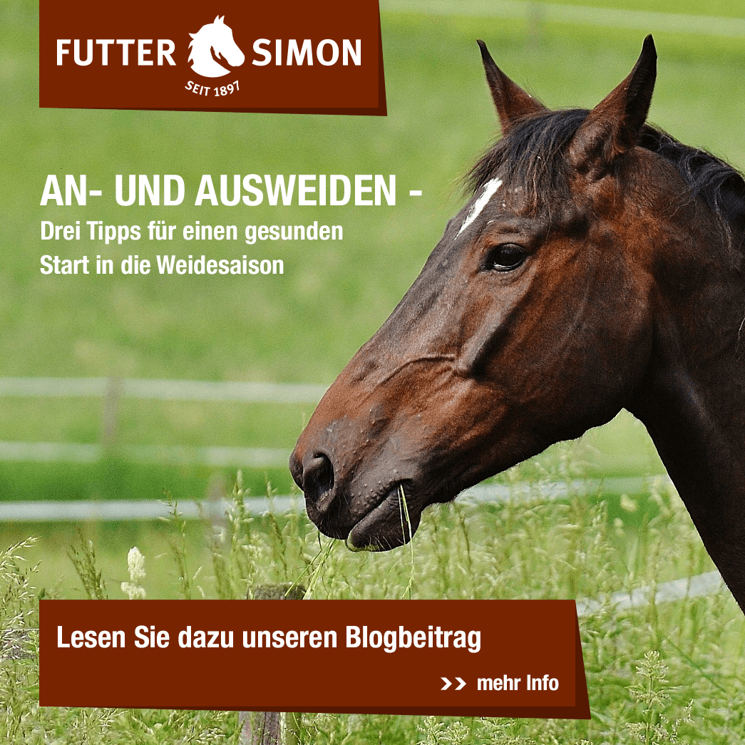 Blogbeitrag: An- und Ausweiden im Frühjahr
