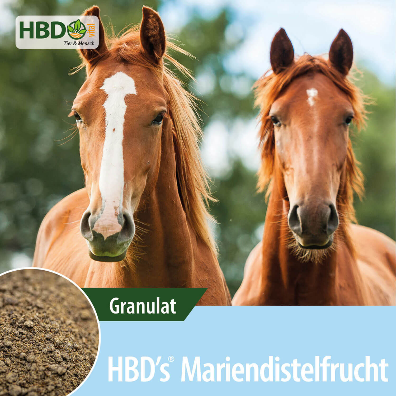 HBD-Agrar - HBD's® Mariendistelfrucht Basis - Hochwertiges Erzeugnis zur Regeneration und Entgiftung HBD-Agrar - HBD's® Mariendistelfrucht Basis - Hochwertiges Erzeugnis zur Regeneration und Entgiftung