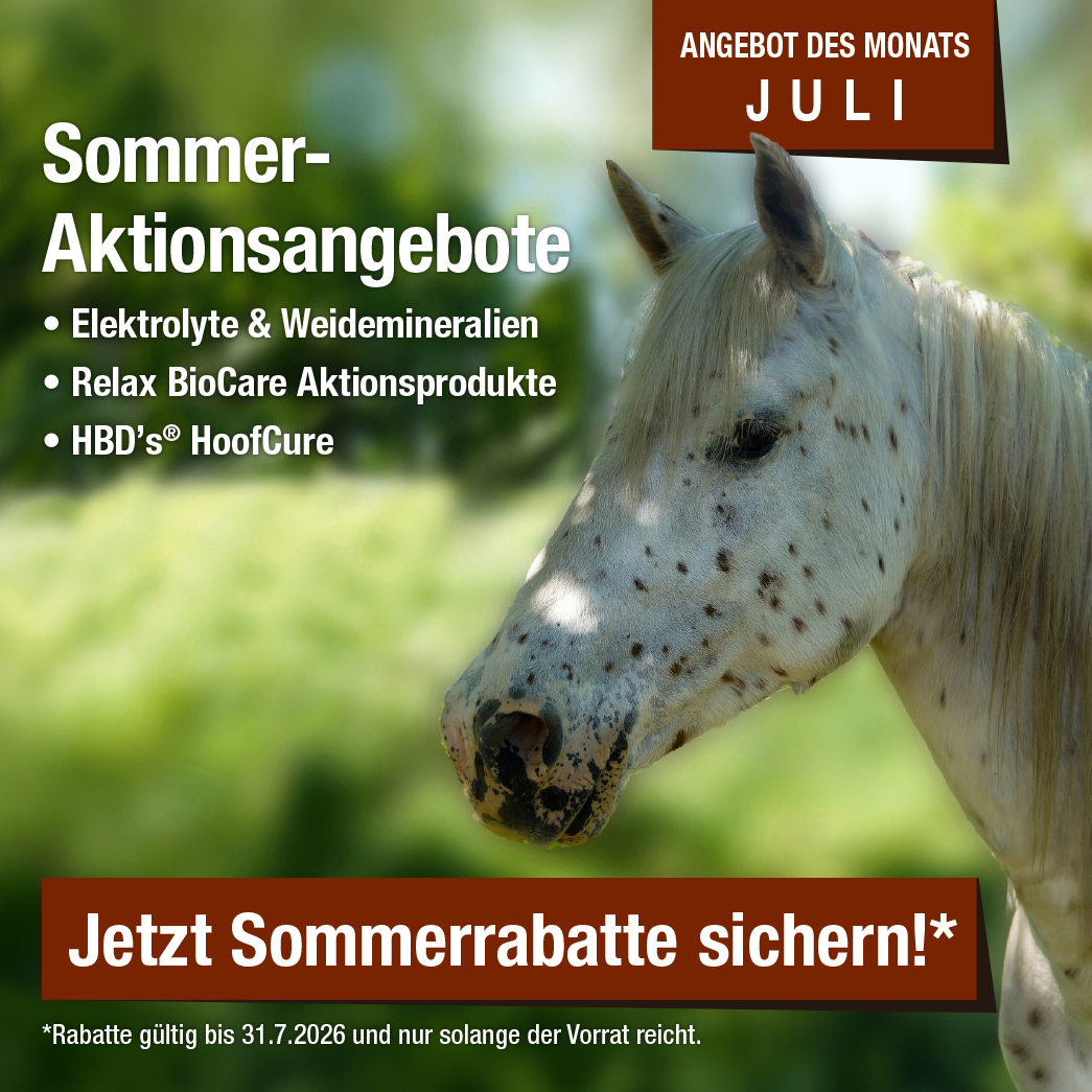 Monatsaktion Juli 2026
