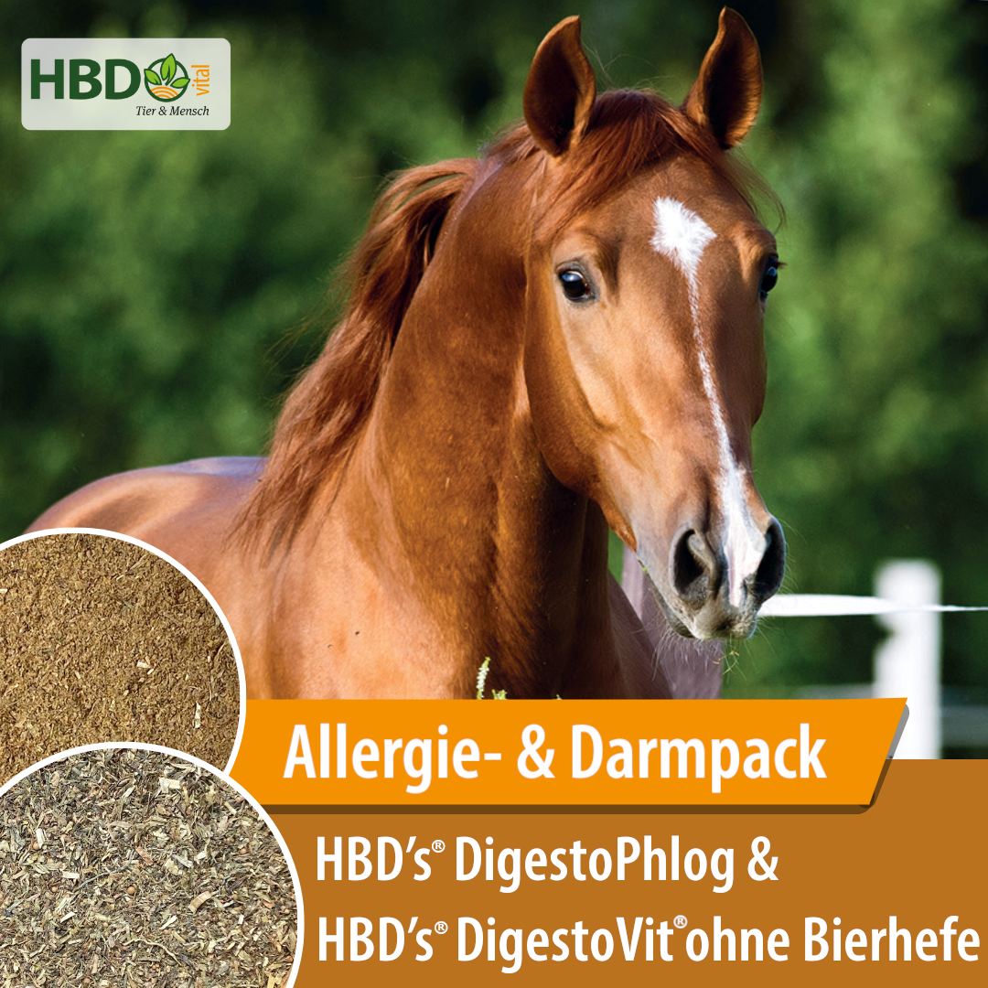 HBD-Agrar - Allergie & Darm-Fit Paket #2 - HBD's® DigestoVit® ohne Bierhefe + HBD's® DigestoPhlog HBD-Agrar - Allergie & Darm-Fit Paket #2 - HBD's® DigestoVit® ohne Bierhefe + HBD's® DigestoPhlog