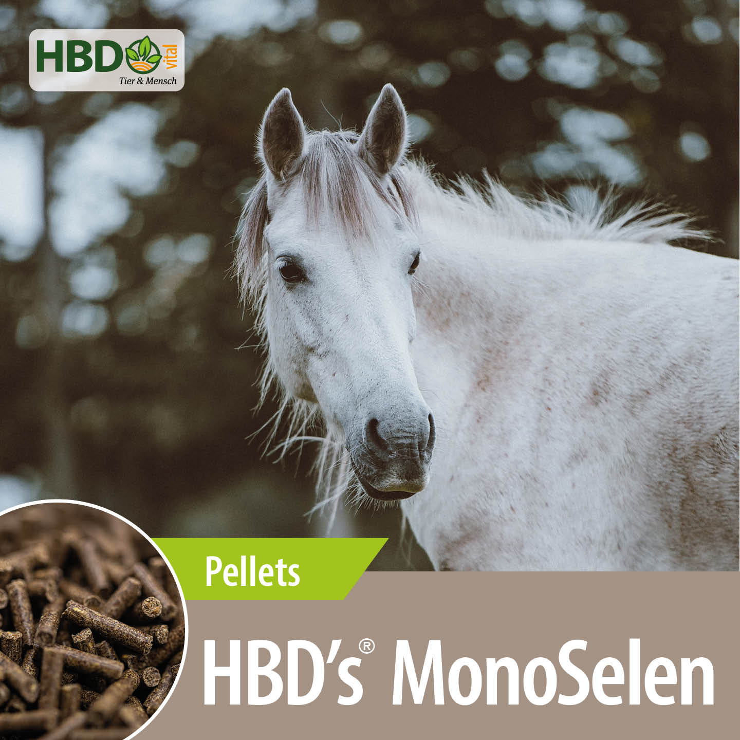 HBD-Agrar - HBD's® MonoSelen - natürliches Selen für Pferde HBD-Agrar - HBD's® MonoSelen - natürliches Selen für Pferde