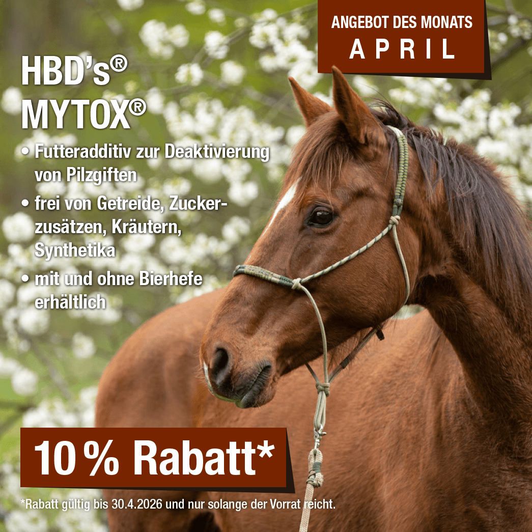 Monatsaktion April 2026