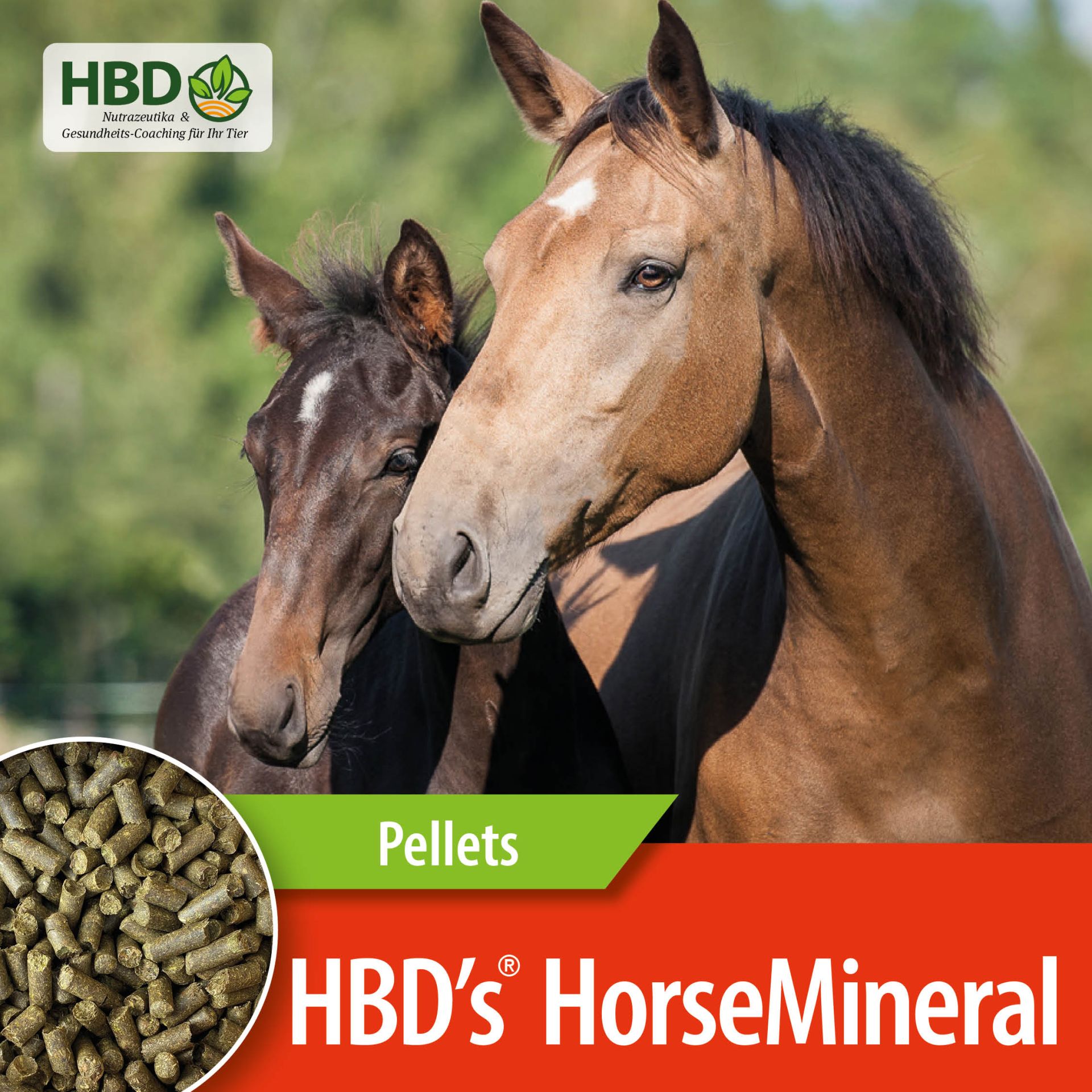 HBD-Agrar - HBD's® HorseMineral - organisch gebundenes Komplettmineralfutter für Pferde